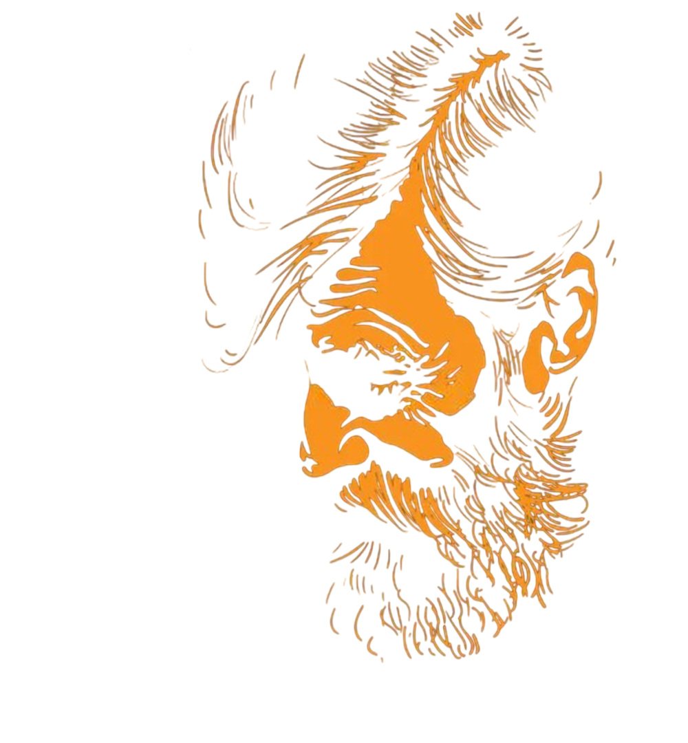 Kullanıcı fotoğrafı